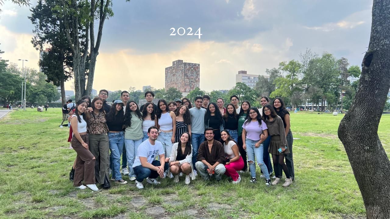 Estudiante en línea